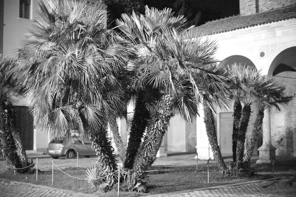 Palm trees seem odd here, its not particularly an image associated with Italy, but here it did seem to fit the town.