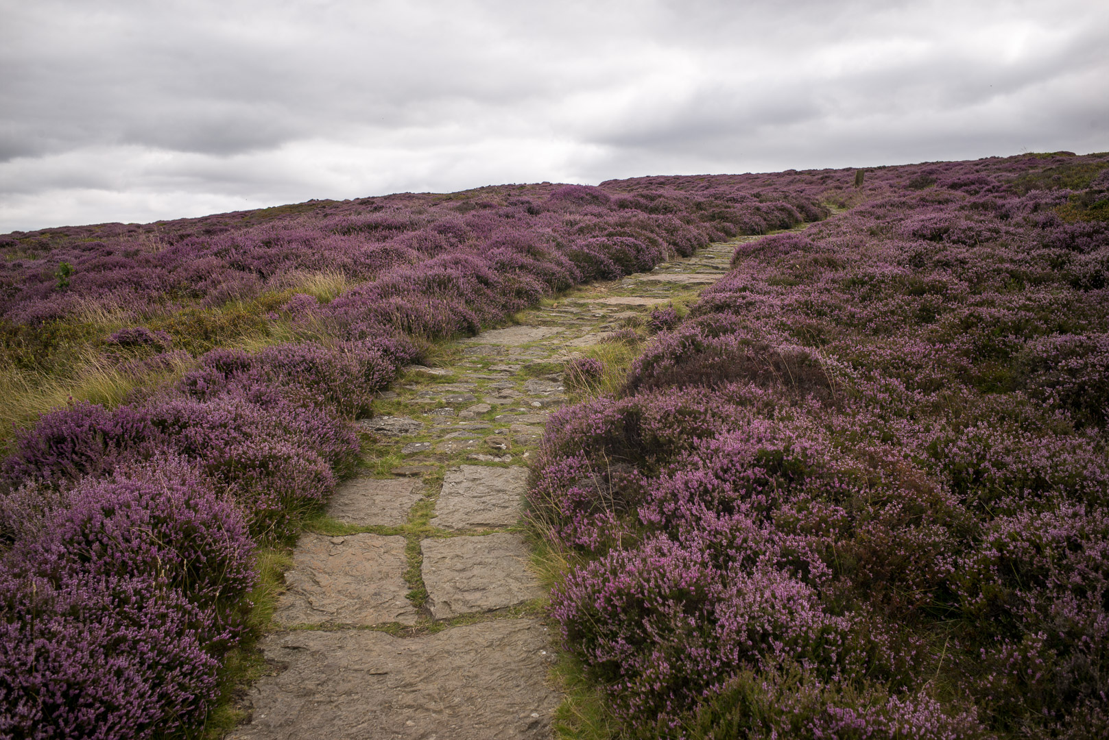 The North York Moors are actually built on alot of private property, and the quality of the pathways are superb