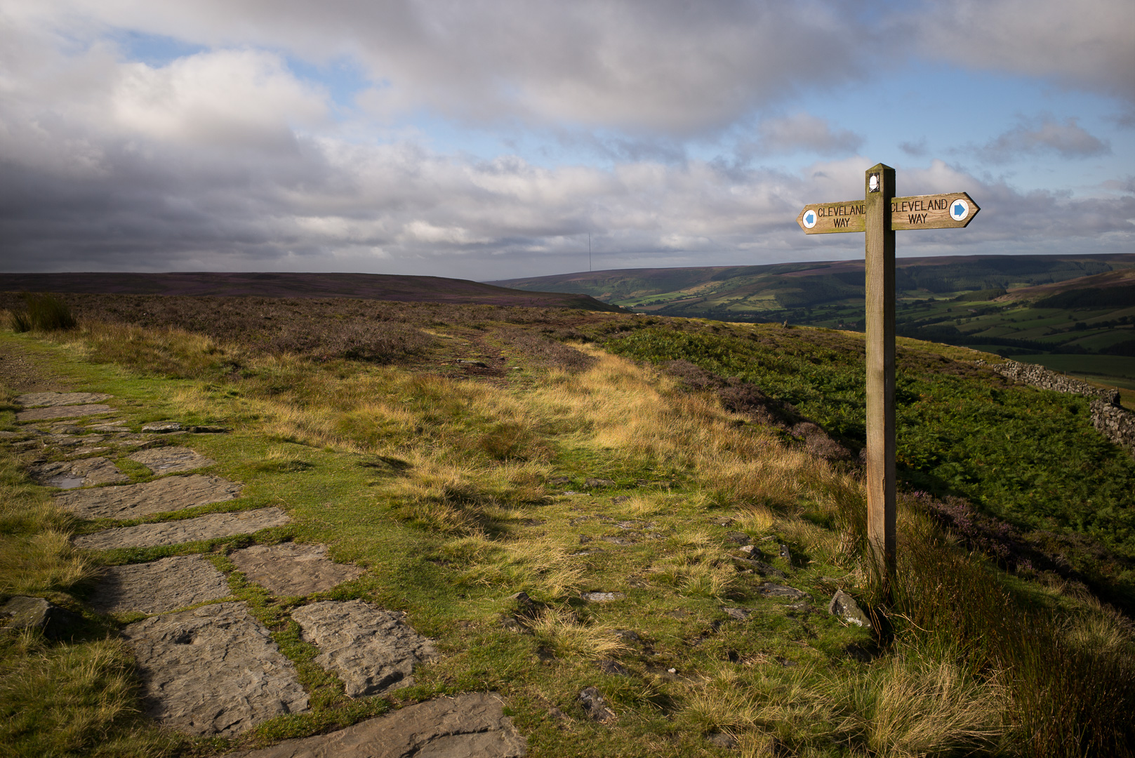 On the path. For alot of the way through the North York Moors, the Coast to Coast trail shares the trail with the Cleveland Way (a very well maintained National path). They have signposts even!