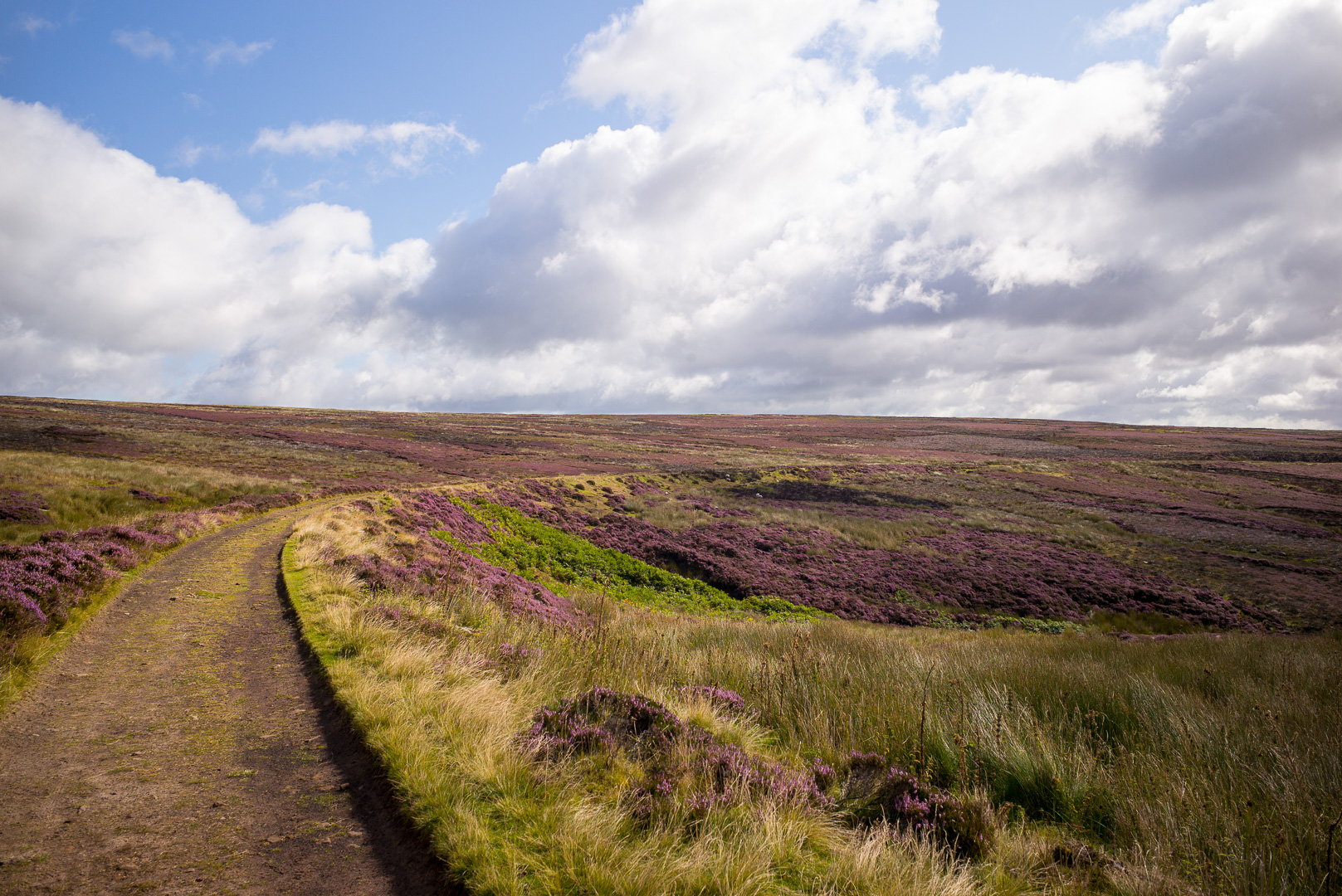 The trail uses an old railway line that was used to transport the mined ores from the moors.